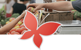 Odoo- Echantillon n° 3 pour trois colonnes